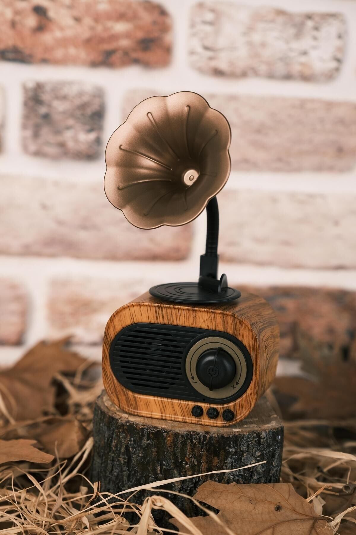 B5 Gramafon Klasik Retro Bluetooth Hoparlör - Radyo - Sd Kart - Usb