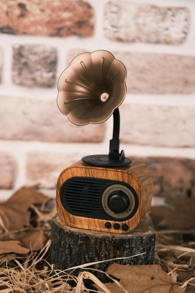 B5 Gramafon Klasik Retro Bluetooth Hoparlör - Radyo - Sd Kart - Usb