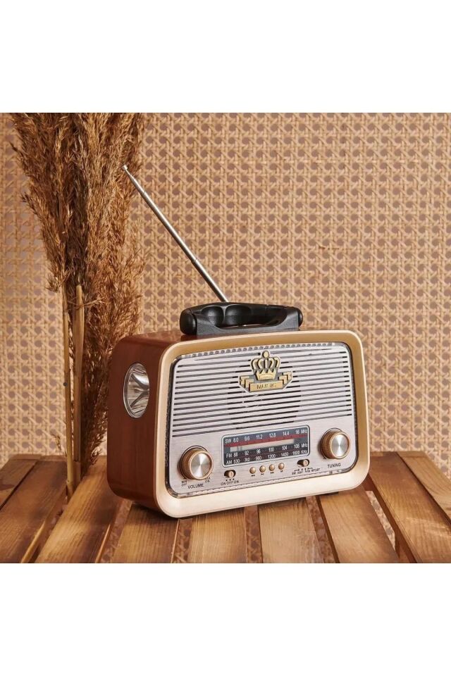 Nostaljik Radyo Bluetooth Ledli Usb Sd Card Mp3 Radyo Çalar Cn-301 Bt