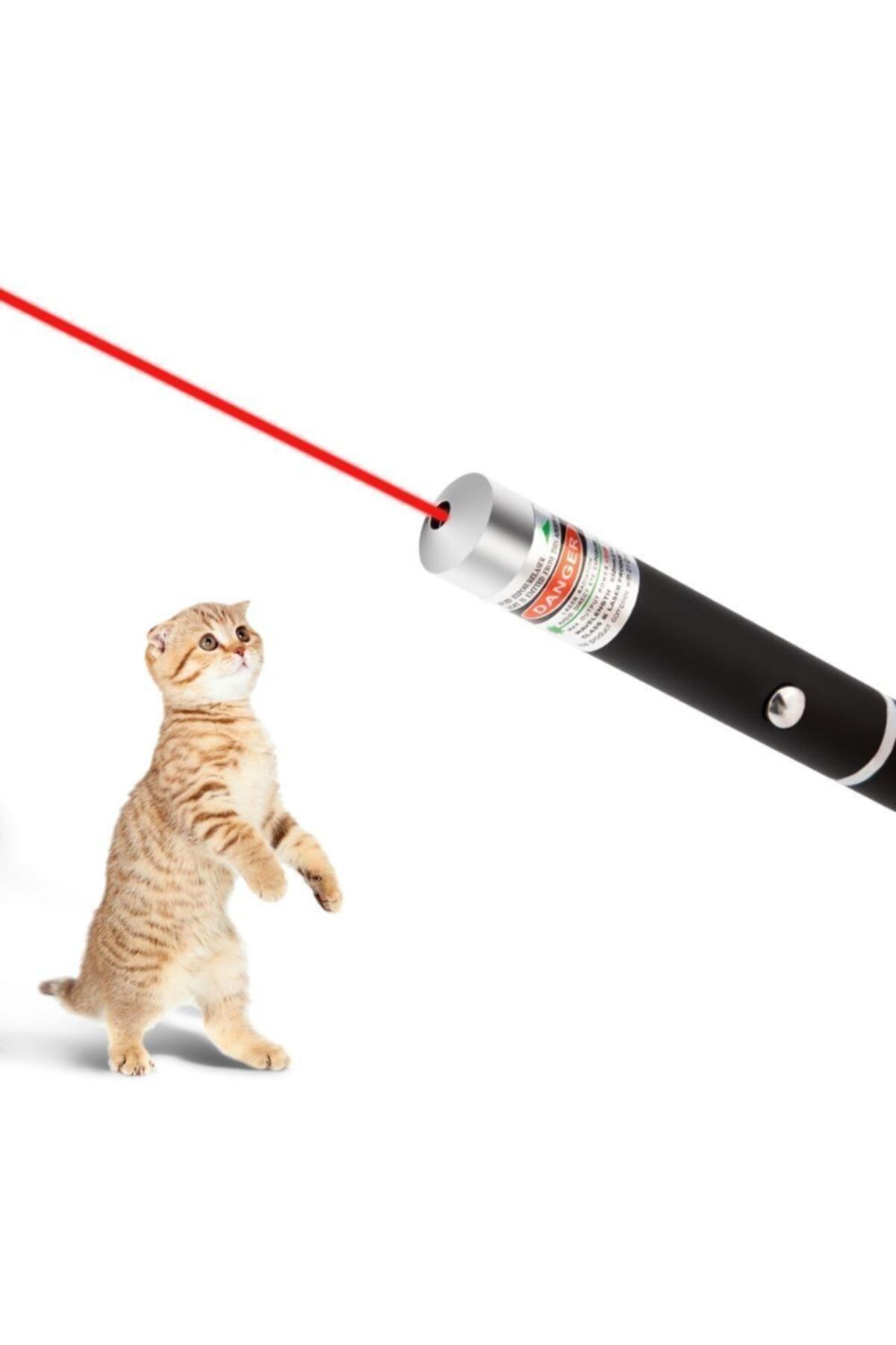 Kedi Lazer Oyuncak 2 Adet Ledli Led Pilli Işık Ödül Çimi Otu Mama Alıştırma Smokin Scottish Fold