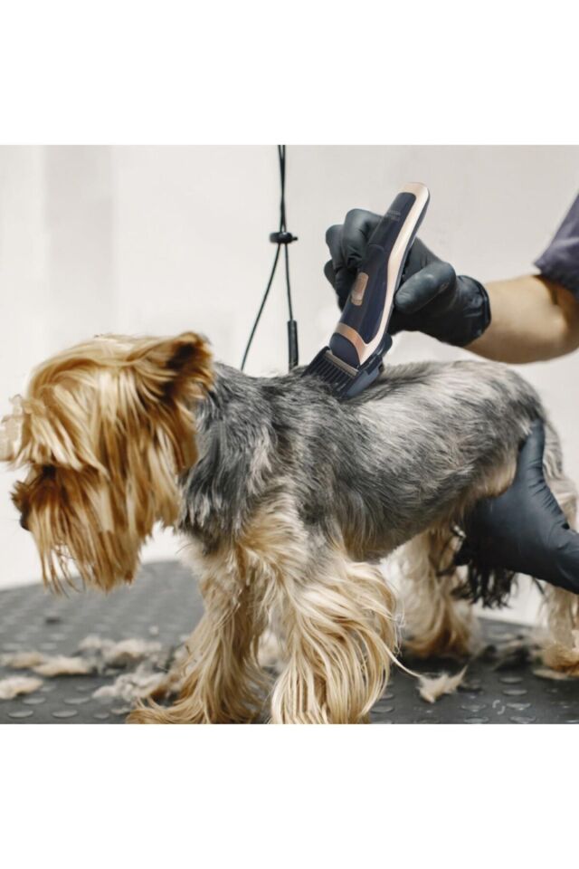 Hk-3000 Şarjlı Kablosuz Kedi Köpek Tıraş Makinesi Evcil Hayvan Tüy Kesme Makinesi Petshop