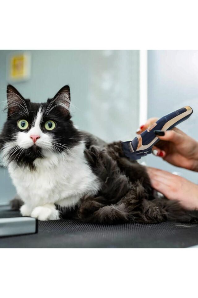 Hk-3000 Şarjlı Kablosuz Kedi Köpek Tıraş Makinesi Evcil Hayvan Tüy Kesme Makinesi Petshop